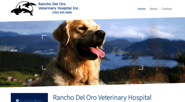 oceansidevet.com