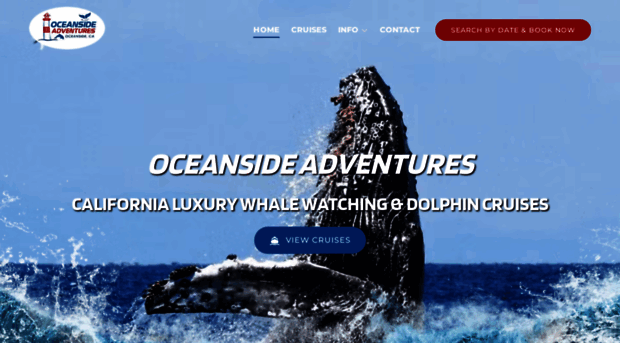 oceansidewhalewatching.com