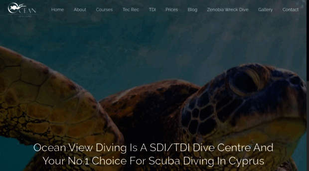 oceanviewdive.com