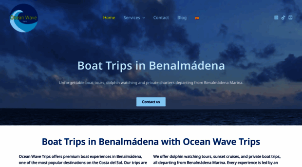 oceanwavetrips.com