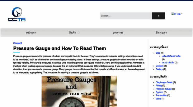 octa-gauge.com