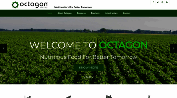 octagonfoods.co.in