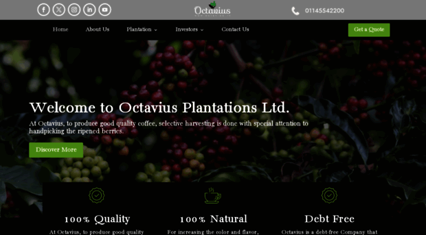 octaviusplantations.com