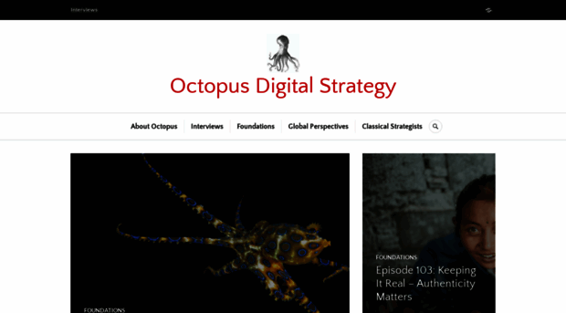 octopusdigitalstrategy.net