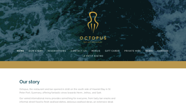 octopusgsy.co.uk