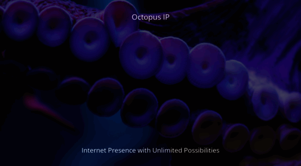 octopusip.com
