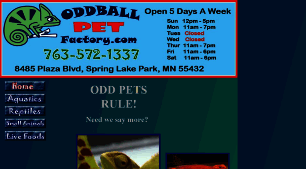 oddballpetfactory.com