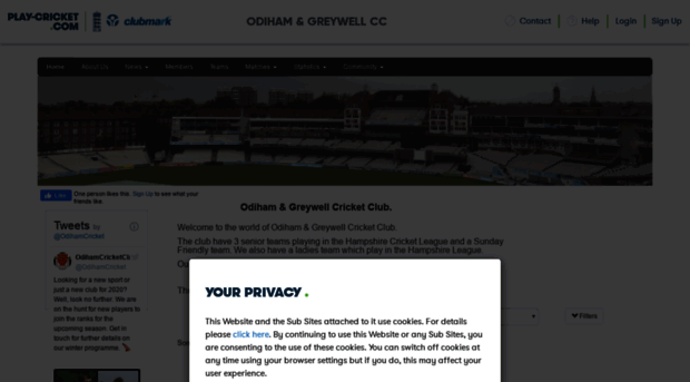 odihamandgreywell.play-cricket.com