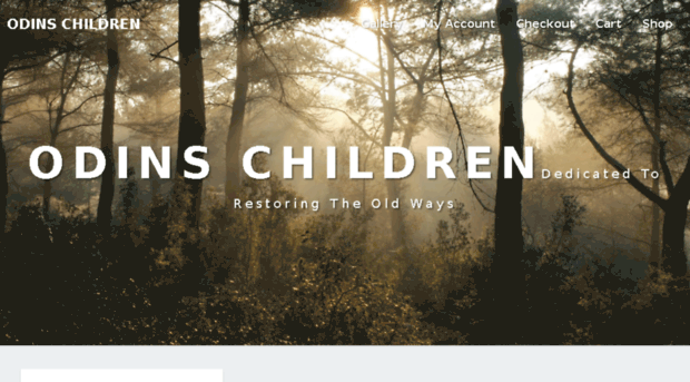 odinschildren.com