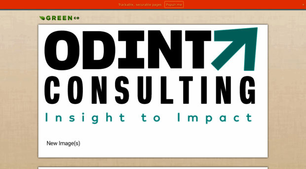 odintconsultancy.populr.me