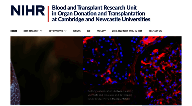 odt.btru.nihr.ac.uk