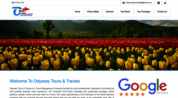 odysseytravel.in