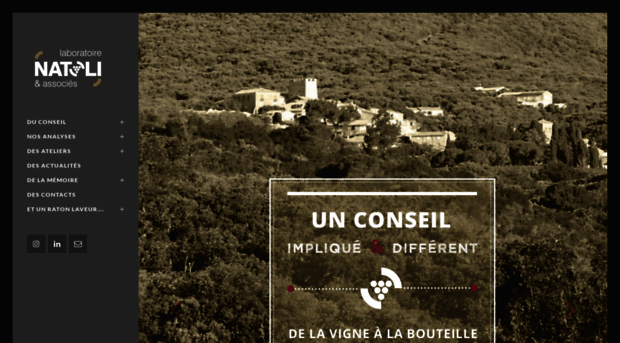 oenoconseil.fr