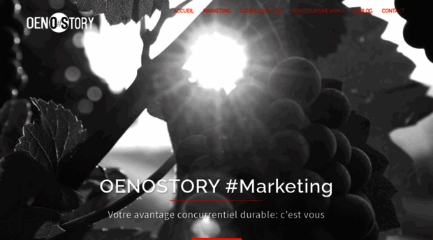 oenostory.com