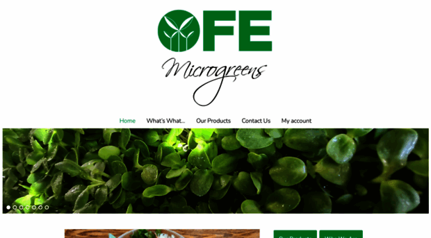 ofemnz.co.nz