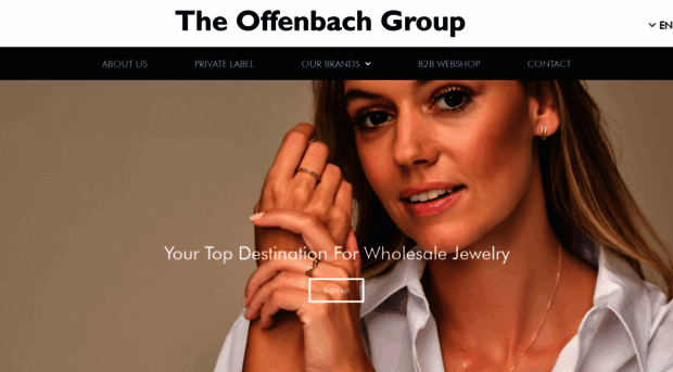 offenbachgroup.com