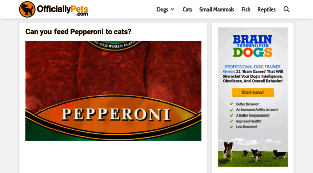 officiallypets.com