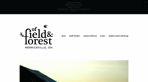 offieldandforest.com