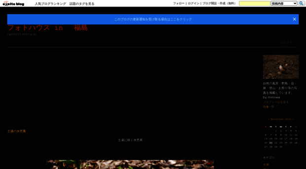 ogata215.exblog.jp