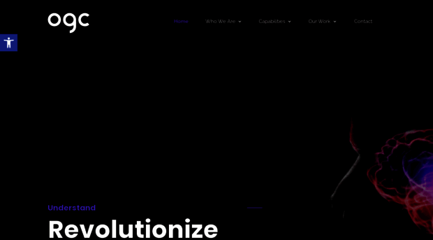 ogconsulting.co.il
