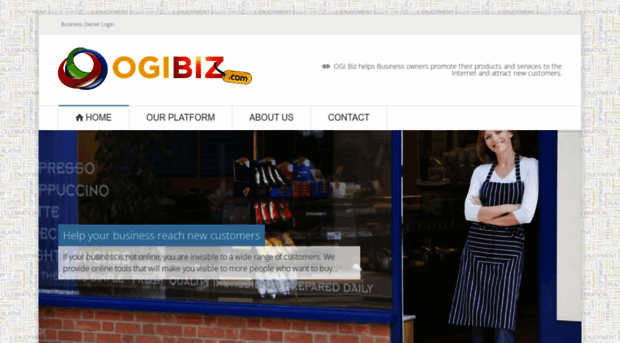 ogibiz.com