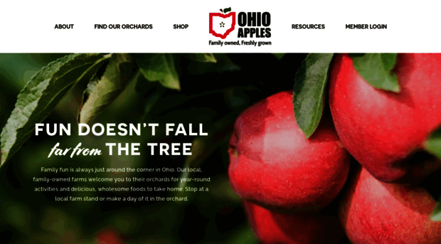 ohioapples.com