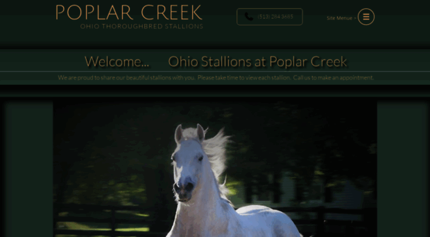 ohiostallions.com