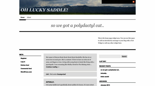 ohluckysaddle.com