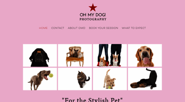 ohmydogphoto.com