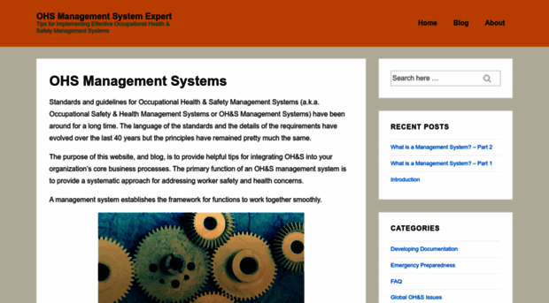 ohsas18001expert.com