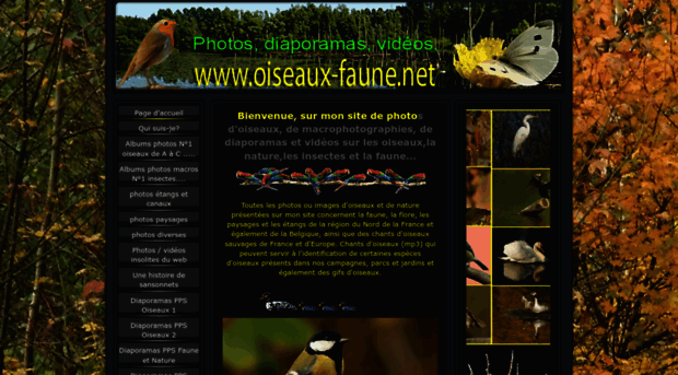 oiseaux-faune.net