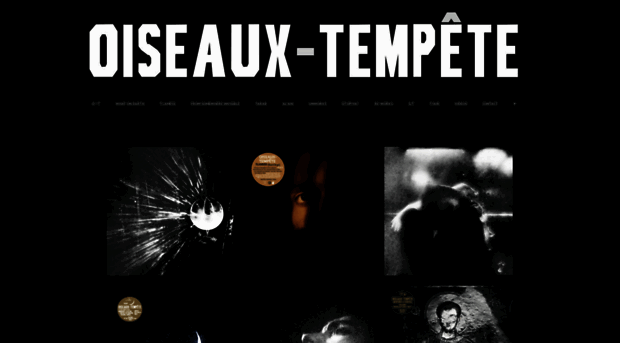 oiseaux-tempete.com