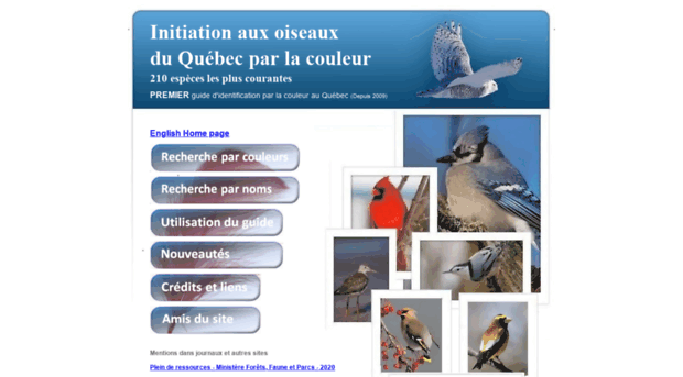 oiseauxparlacouleur.com