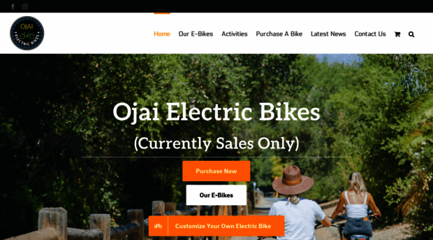 ojaielectricbikes.com