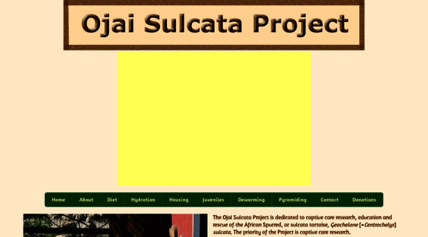 ojaisulcataproject.org