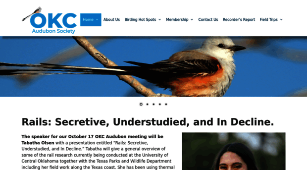 okc-audubon.org