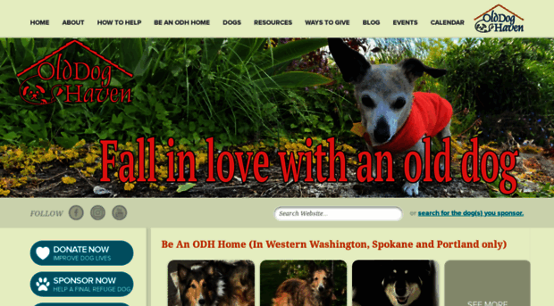 olddoghaven.org