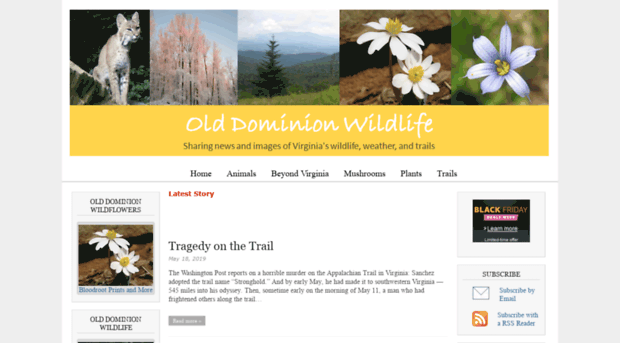 olddominionwildlife.com