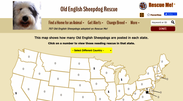 oldenglishsheepdog.rescueme.org