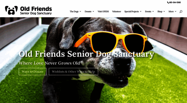 oldfriendsseniordogs.com