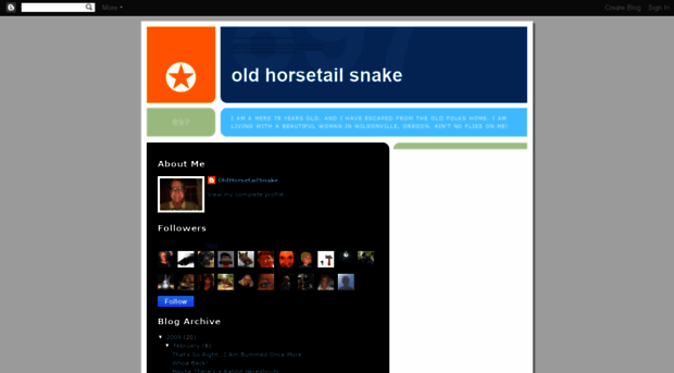 oldhorsetailsnake.blogspot.com