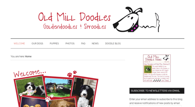 oldmilldoodle.com