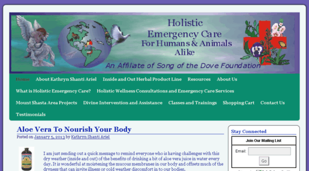 oldsite.holisticemergencycare.com