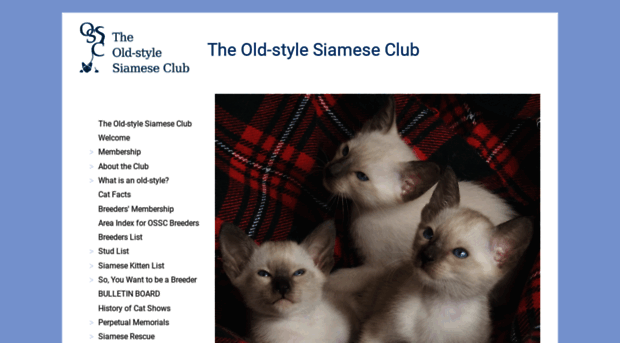 oldstylesiamese.co.uk