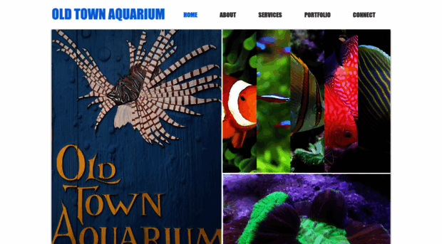 oldtownaquarium.com