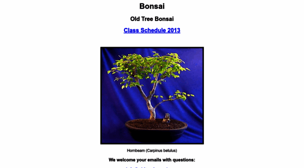 oldtreebonsai.com