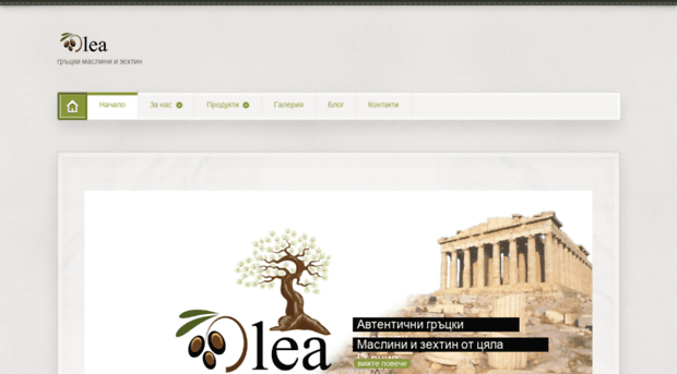 olea-bg.com