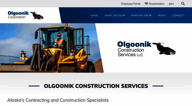 olgoonikconstructionservices.com