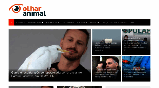 olharanimal.org