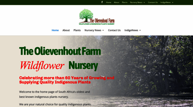 olievenhoutfarm.co.za